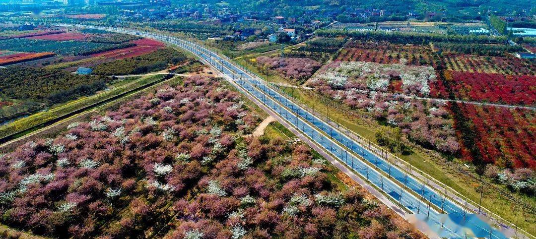 蒿溪回族乡最新交通新闻，交通建设日新月异，助力地方经济腾飞