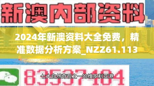 新澳精准资料免费提供网站—揭秘背后的秘密与真相|回忆版